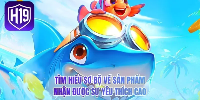 Tìm hiểu sơ bộ về sản phẩm nhận được sự yêu thích cao