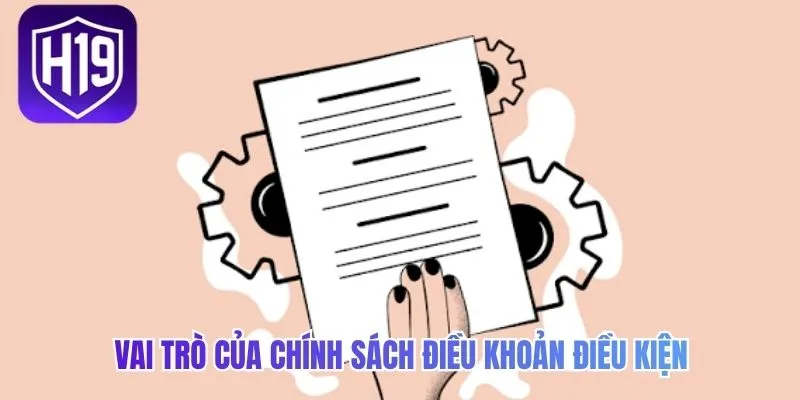 Vai trò của chính sách điều khoản điều kiện